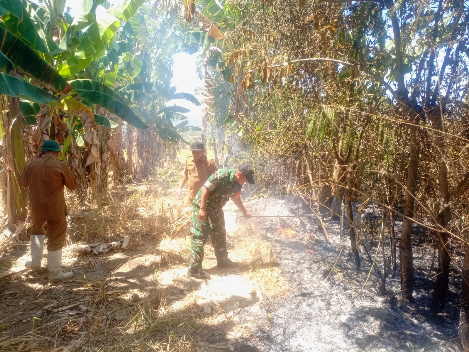 Personel Koramil 1315-02 Limboto Bergerak Cepat Bersama Unsur Gabungan Kendalikan Kebakaran Lahan Dekat Permukiman Warga