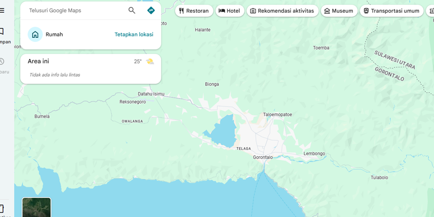 Google Maps